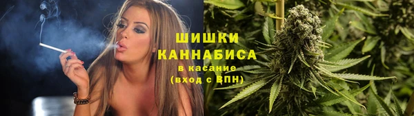 PSILOCYBIN Аркадак