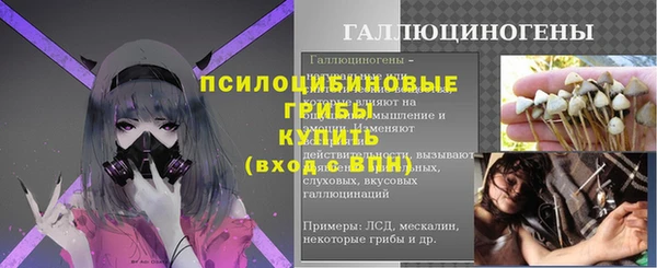 PSILOCYBIN Аркадак