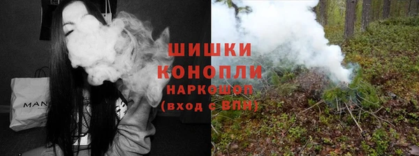 PSILOCYBIN Аркадак