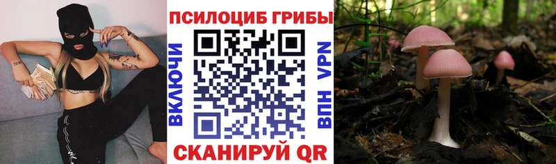 Галлюциногенные грибы мухоморы  Купить  Солнечногорск 